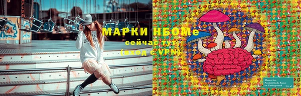 сатива Володарск