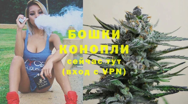 сатива Володарск