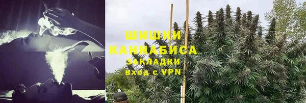 сатива Володарск