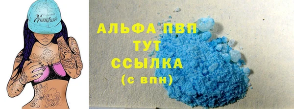 сатива Володарск