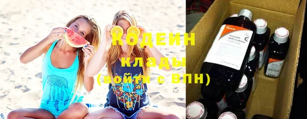 стаф Тутаев